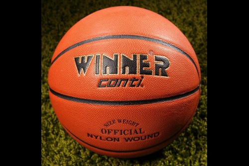 Мяч баскетбольный WINNER CHAMPION CONTI BC-7 №7